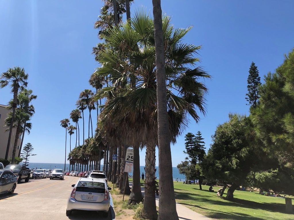 image from Viaje a San Diego 2019